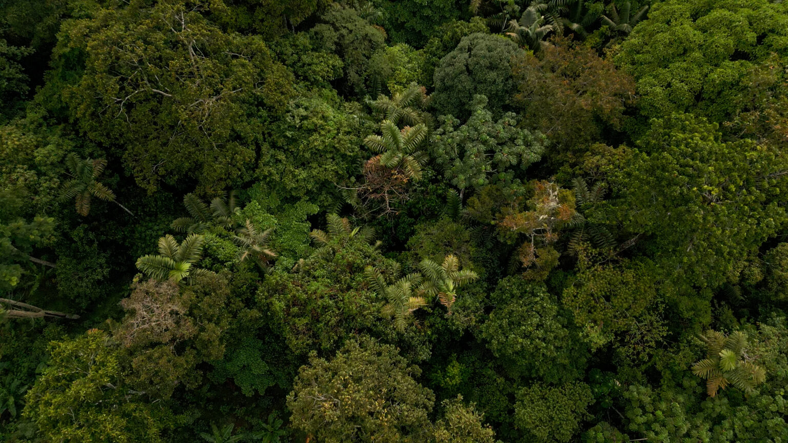iki peru stills 03