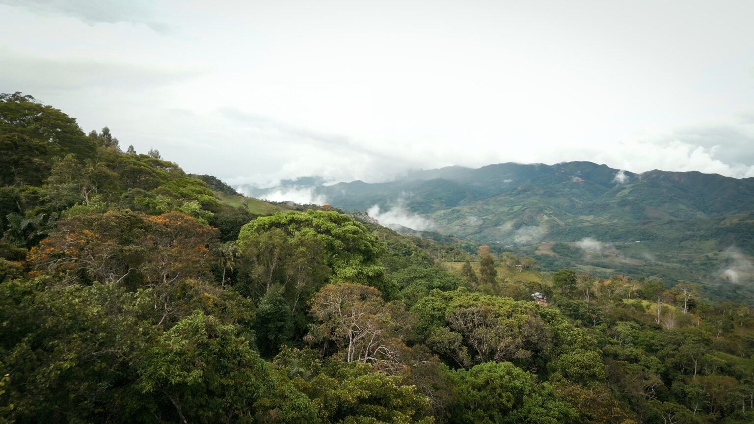 iki peru stills 06