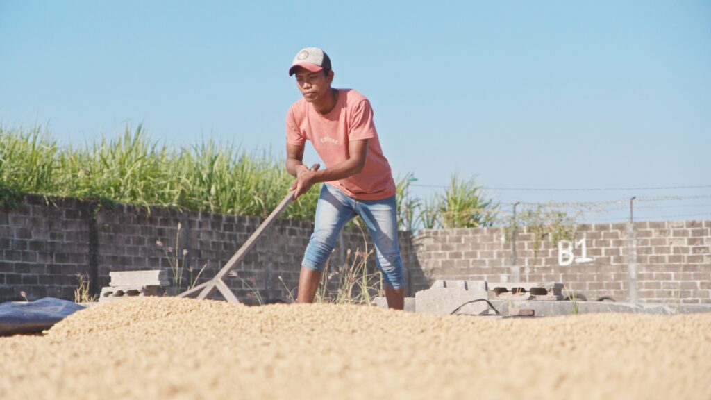 indo stills 1.48.1
